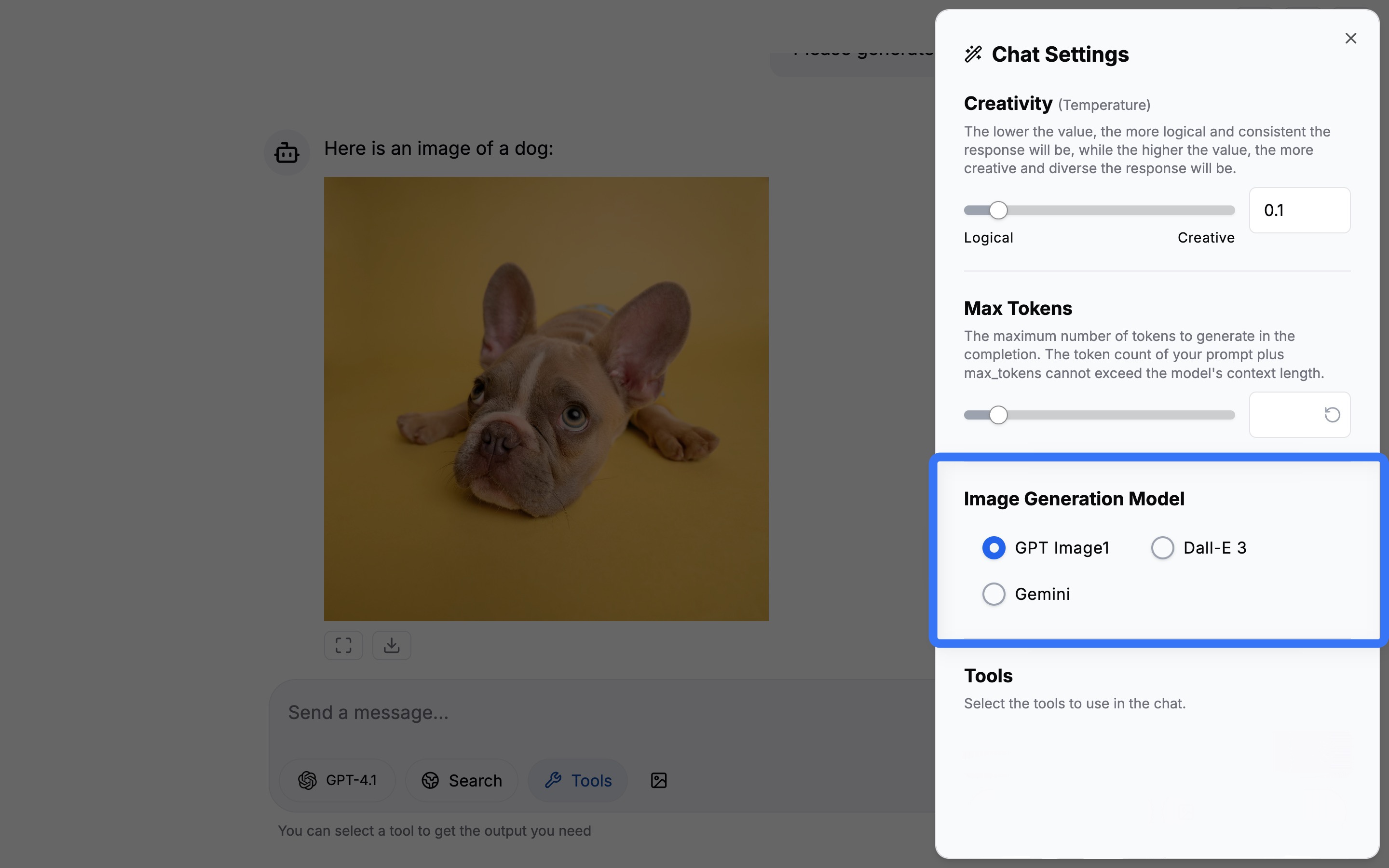 Selecting the Image Generation Model
